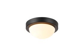 D0771  Porter 21cm Glass IP44 Flush Ceiling 1 Light Satin Black; Opal